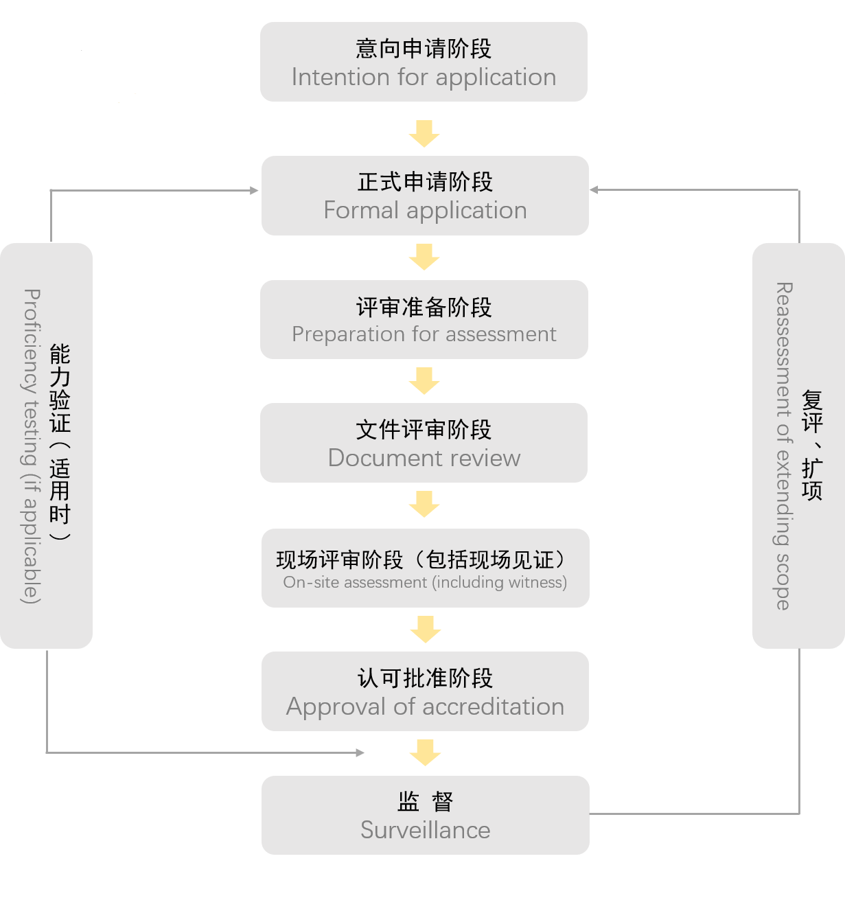 【图10】ISO20389CNAS认可流程.png