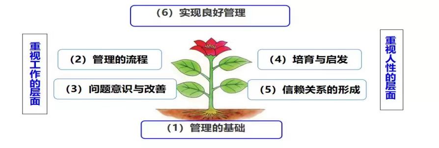 MTP的6个知识架构与应用.jpg