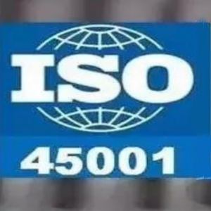 ISO 45001(2018版) 职业健康与安全管理体系标准
