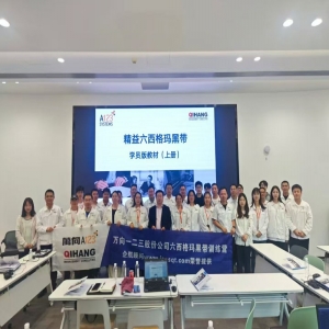 六西格玛黑带